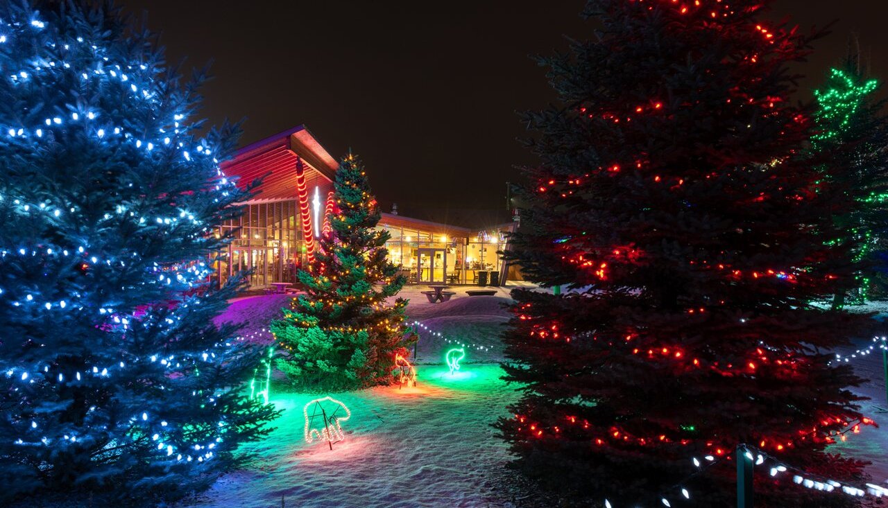 Brightly lit trees frame the BC Wildlife Park near Kamloops BC, at night.