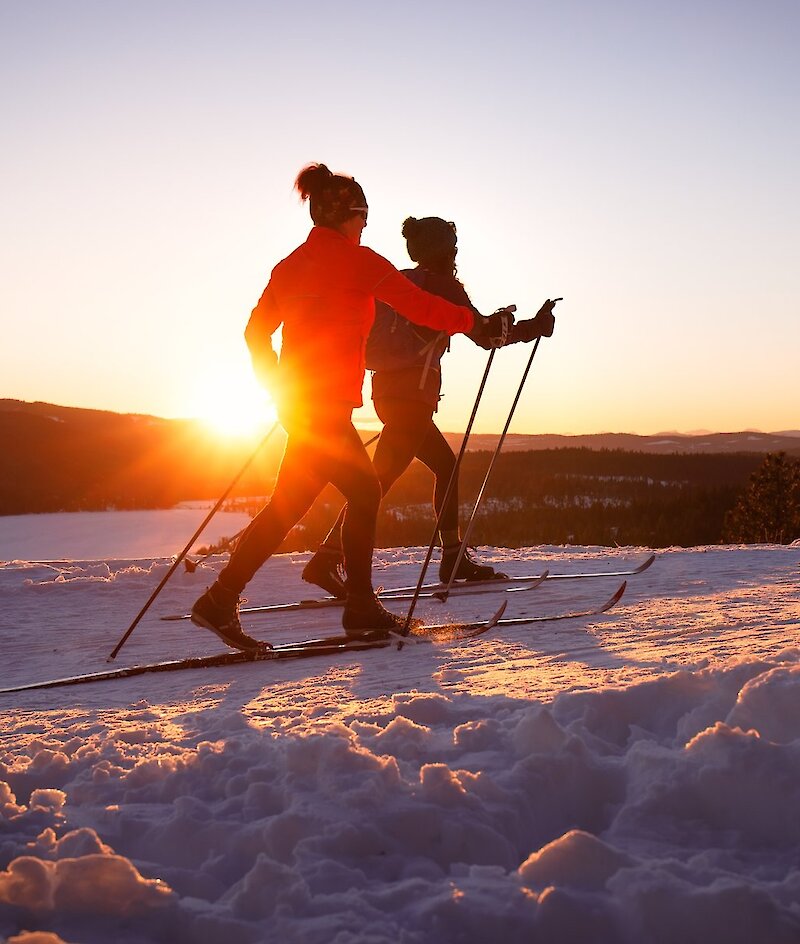 Cross country skiers at Stake Lake Ski Trail near Kamloops, BC