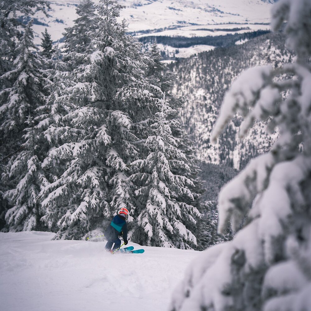 Skier carves through the powdery trail at Harper Mountain near Kamloops, British Columbia.