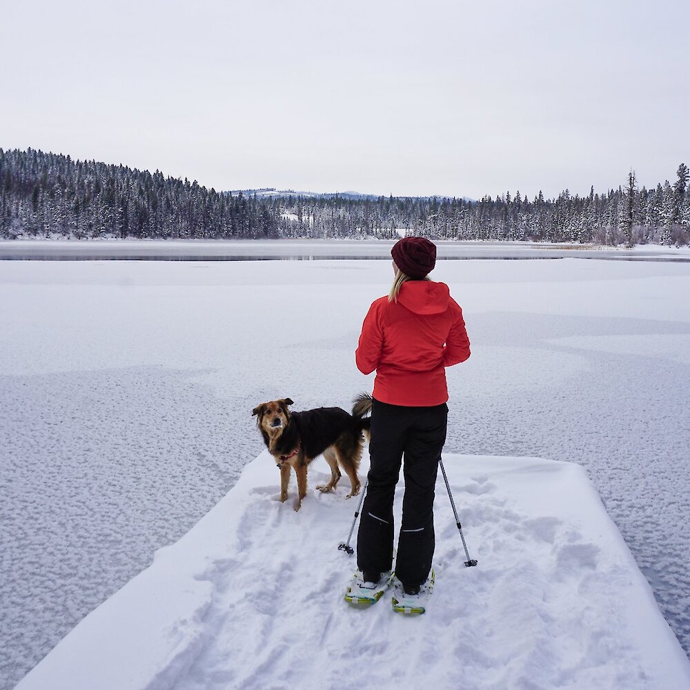 Snowshoer with her dog admires the snowcoverd landscape in McConnell Lake Provincial Park near Kamloops, British Columbia.