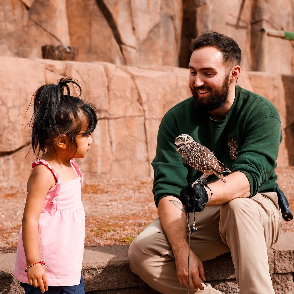 A little girl meeting a Burrowing Owl during a wild encounter at the BC Wildlife Park in Kamloops, BC.