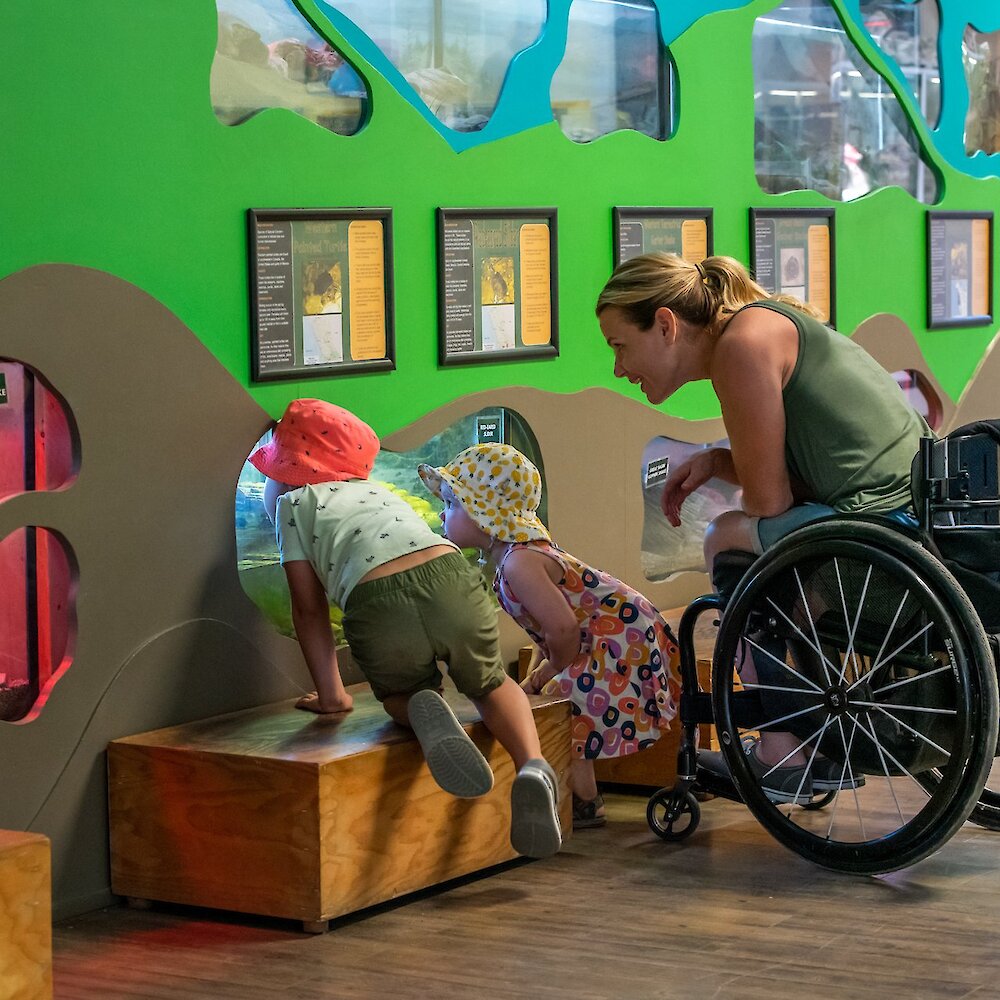 A family viewing the reptile exhibit in the Discovery Centre at the BC Wildlife Park in Kamloops, BC.