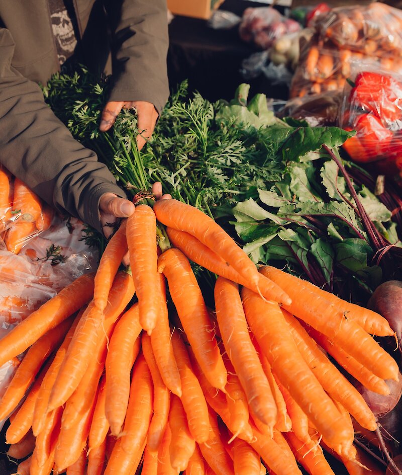 vegetables at the farmers market