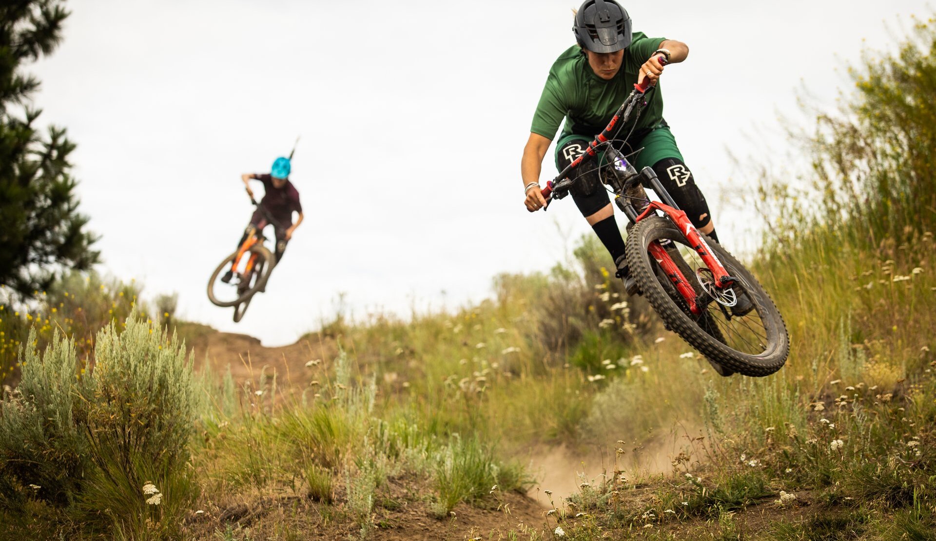 Two people on mountain bikes descend a grassy hill.